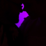 SSMVs-1219